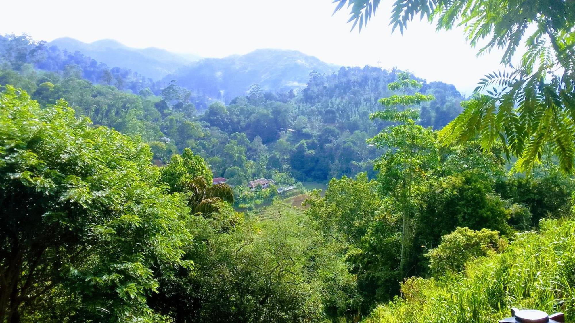 Green Jungle " Cool View" Apartment Ella Exterior photo