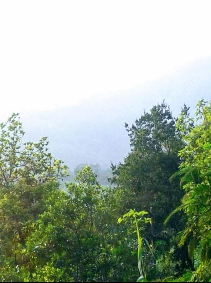 Green Jungle " Cool View" Apartment Ella Exterior photo