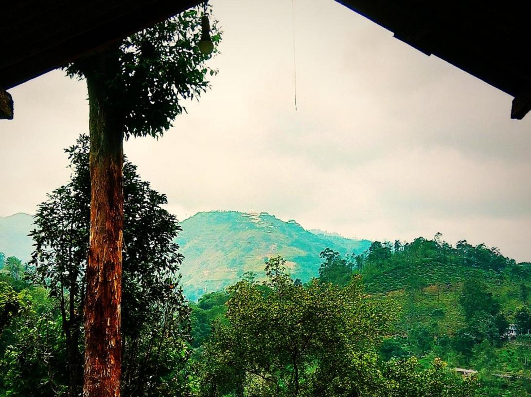 Green Jungle " Cool View" Apartment Ella Exterior photo