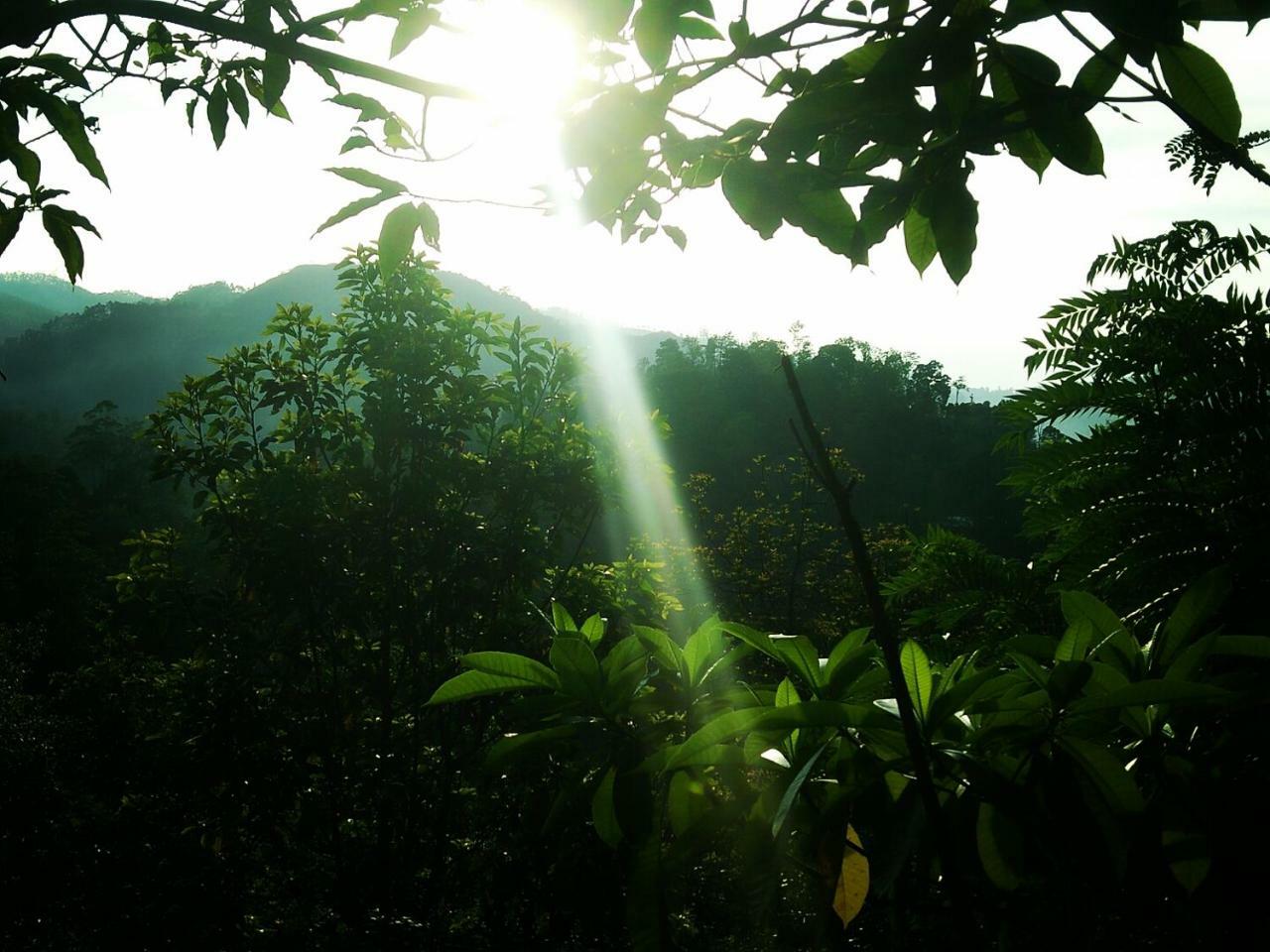 Green Jungle " Cool View" Apartment Ella Exterior photo